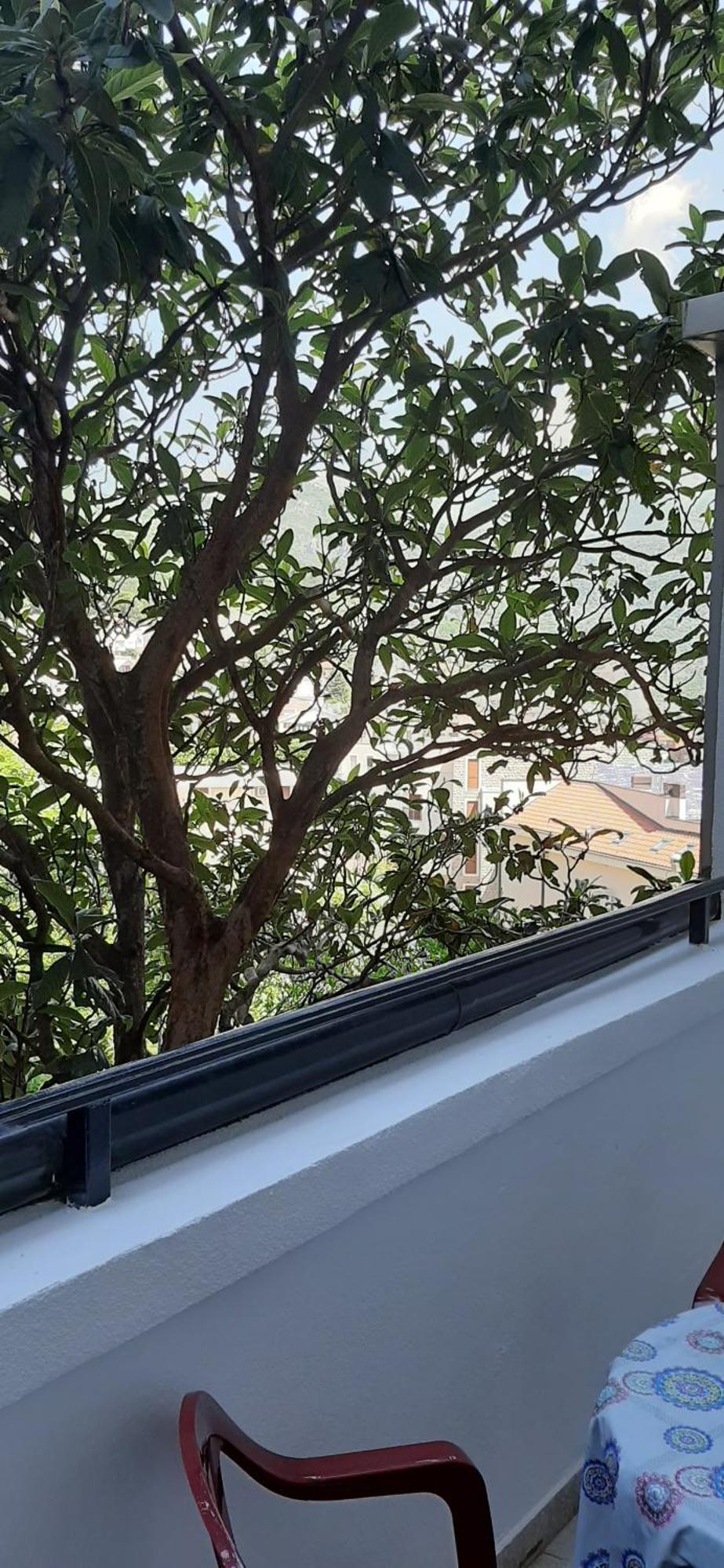Iskra Appartement Budva Buitenkant foto